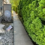 concrete-pressure-washing-crown-point-in-after